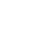 Scroll Down